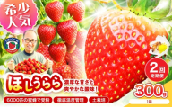 【2027年1月～5月発送予定】【糖度12〜15度の希少品種】いちご ほしうらら 約300g（約300g×1パック× 1箱）2ヶ月定期便【配送不可地域：北海道・沖縄・離島】【121D-004-2027】