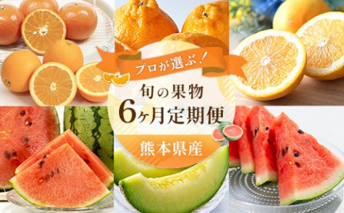 【 6ヶ月定期便 】 プロが選ぶ！ 旬の果物定期便 くだもの 果物 フルーツ 果実 果汁 果肉 国産 熊本県産 定期配送 定期 旬の果物 旬 甘味 季節 【 2027年2月上旬～7月上旬発送予定 】 2624052 - 熊本県熊本市