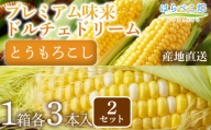 【人気の2品種を食べ比べ】とうもろこし2種各3本×2セット・H111