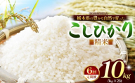 【先行予約】【定期6回】こしひかり（白米）約 10kg 栃木県共通返礼品｜コシヒカリ 米 白米 おいしい お米 こめ おこめ 白米 精米 国産 ごはん ご飯 白飯 米 おこめ 白米 精米ゴハン ランキング 人気  ふるさと 納税 栃木県 那珂川町 送料無料