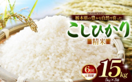【先行予約】【定期6回】 こしひかり（白米）約 15kg 栃木県共通返礼品｜コシヒカリ 米 白米 おいしい お米 こめ おこめ 白米 精米 国産 ごはん ご飯 白飯 米 おこめ 白米 精米ゴハン ランキング 人気  ふるさと 納税 栃木県 那珂川町 送料無料