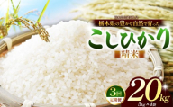 【先行予約】【定期3回】 こしひかり（白米）約 20kg 栃木県共通返礼品｜コシヒカリ 米 白米 おいしい お米 こめ おこめ 白米 精米 国産 ごはん ご飯 白飯 米 おこめ 白米 精米ゴハン ランキング 人気  ふるさと 納税 栃木県 那珂川町 送料無料