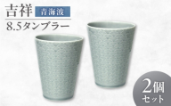 【美濃焼】 吉祥 8.5タンブラー 青海波  2個セット 瑞浪市 / JS企画 小田陶器 [AZAZ303]