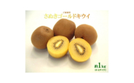 ご家庭用さぬきゴールドキウイ　約1kg【1705916】