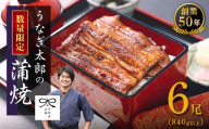 【蒲焼6尾（合計840g以上）】創業50年・職人による手焼き　大隅産うなぎ