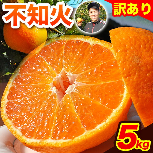 不知火 訳あり 先行予約 熊本のブランド果実 不知火 約 5kg 20玉前後 デコポン と同品種 でこぽん フルーツ フルーツ みかん ミカン 柑橘 しらぬい 未来来農園 《4月上旬-4月末頃出荷》 熊本県 葦北郡 津奈木町  2624307 - 熊本県津奈木町