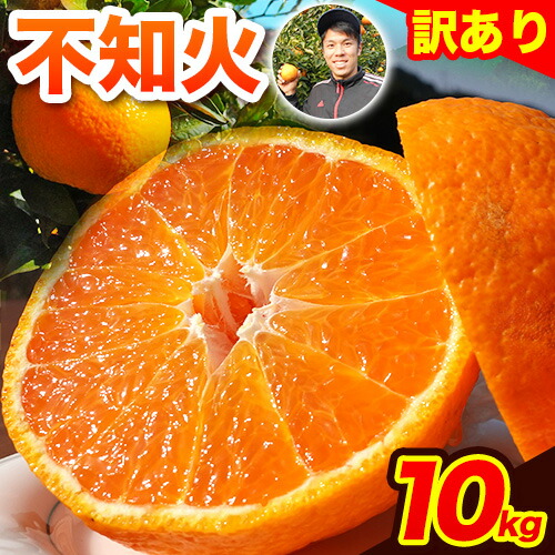 【先行予約】みかん 不知火 訳あり  熊本 ブランド果実 不知火 約 10kg 40玉前後 デコポン と同品種 でこぽん フルーツ 果物 みかん ミカン 柑橘 しらぬい 未来来農園 《4月上旬-4月末頃出荷》熊本県 葦北郡 津奈木町  2624308 - 熊本県津奈木町
