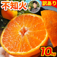 【先行予約】みかん 不知火 訳あり  熊本 ブランド果実 不知火 約 10kg 40玉前後 デコポン と同品種 でこぽん フルーツ 果物 みかん ミカン 柑橘 しらぬい 未来来農園 《4月上旬-4月末頃出荷》熊本県 葦北郡 津奈木町