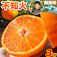 不知火 贈答用 先行予約 熊本のブランド果実 不知火 10玉 約3kg 未来来農園 デコポン と同品種 でこぽん フルーツ 果物 みかん ミカン 柑橘 しらぬい 《4月上旬-4月下旬頃出荷》熊本県 葦北郡 津奈木町