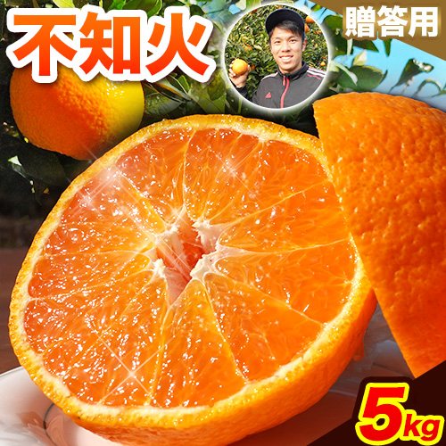 不知火 贈答用 先行予約 熊本のブランド果実 不知火 16玉 約5kg 未来来農園 デコポン と同品種 でこぽん フルーツ 果物 みかん ミカン 柑橘 しらぬい 《4月上旬-4月下旬頃出荷》熊本県 葦北郡 津奈木町  2624311 - 熊本県津奈木町