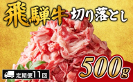 【11ヵ月定期便】飛騨牛切り落とし 500g ｜ 牛肉 和牛 国産 切り落し 切落し 定期便 スライス すき焼き カレー 赤身 赤身肉 牛 肉 夜ごはん 晩ごはん ご飯 おかず おすすめ 瑞穂市 岐阜県