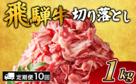 【10ヵ月定期便】飛騨牛切り落とし 1kg ｜ 牛肉 和牛 国産 切り落し 切落し 定期便 スライス すき焼き カレー 赤身 赤身肉 牛 肉 夜ごはん 晩ごはん ご飯 おかず おすすめ 瑞穂市 岐阜県