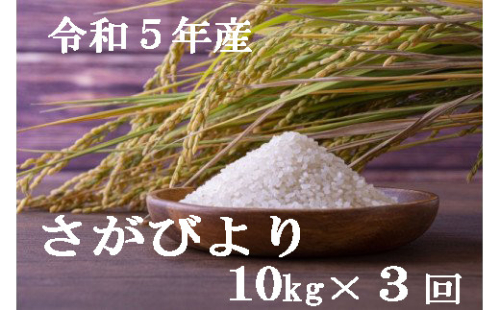 令和4年産【特A評価】さがびより白米10kg 定期便(3回便) B198 262463 - 佐賀県伊万里市