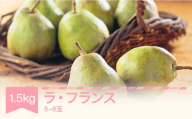【先行予約】ラ・フランス 洋梨 ラフランス 1.5kg 秀品 令和8年産 2026年産 果物 mm-lasxx1500