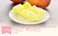【先行予約】りんご サンふじ 約1.5kg リンゴ 林檎 令和8年産 2026年産 果物 フルーツ 山形県産 mm-risfs1500