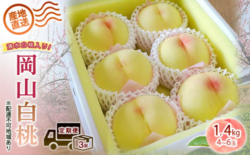 2026年 先行予約 ご家庭用 清水白桃 岡山白桃 食べ比べ定期便 1.4kg(4～6玉) もも モモ 岡山県 国産 フルーツ 果物 2624720 - 岡山県里庄町