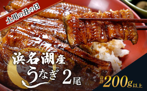 土用の丑の日ギフト 浜名湖産うなぎ 蒲焼 2尾 (100g以上×2本)山椒たれ付き 国産 うなぎセット 国産うなぎ 浜名湖うなぎ 海老仙 静岡 浜松市 2624736 - 静岡県浜松市