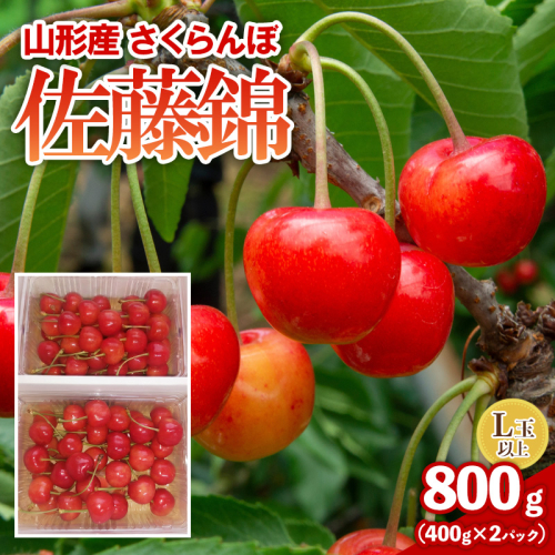 さくらんぼ(佐藤錦) 800g L以上　FY26-076 2624789 - 山形県山形市