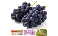 ＜2026年発送★先行予約＞【鈴木ぶどう園】山梨県南アルプス市産 藤稔 約1.2kg （600ｇ×2） ALPGF002