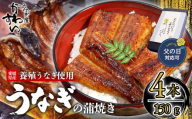 【容量選択可】【父の日ギフト対応可】【6月19日にお届け！】〈うなぎ屋かわすい〉愛媛県松山市養殖うなぎを使用！うなぎ蒲焼 4本 (1尾：150～169g)  ｜うなぎ ウナギ 鰻 蒲焼き 国産 お取り寄せ グルメ ふるさと納税  簡単調理 土用丑の日 ギフト 贈り物 お中元 お歳暮 母の日 父の日  かわすい 川口水産 愛媛県 松山市