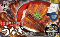 【容量選択可】【父の日ギフト対応可】【6月19日にお届け！】〈うなぎ屋かわすい〉愛媛県松山市養殖うなぎを使用！うなぎ蒲焼 5本 (1尾：150～169g)  ｜うなぎ ウナギ 鰻 蒲焼き 国産 お取り寄せ グルメ ふるさと納税  簡単調理 土用丑の日 ギフト 贈り物 お中元 お歳暮 母の日 父の日  かわすい 川口水産 愛媛県 松山市