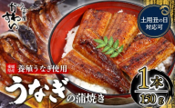 【容量選択可】【土用丑の日】【7月24日にお届け！】〈うなぎ屋かわすい〉愛媛県松山市養殖うなぎを使用！うなぎ蒲焼 1本 (1尾：150～169g)  ｜うなぎ ウナギ 鰻 蒲焼き 国産 お取り寄せ グルメ ふるさと納税  簡単調理 土用丑の日 ギフト 贈り物 お中元 お歳暮 母の日 父の日  かわすい 川口水産 愛媛県 松山市
