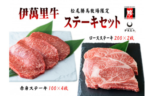 伊万里牛ステーキセット 赤身4枚・ロース2枚 計800g ソース付 J466 262535 - 佐賀県伊万里市
