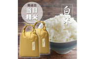お米 福岡県産【特A】評価のお米「元気つくし」 10kg（5kg×2袋) 白米 精米 単一原料米 お米 精米 美味しいコメ ご飯 ゴハン 福岡県 川崎町