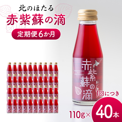 赤紫蘇の滴110g×40本 定期便 6か月 赤紫蘇 紫蘇ジュース しそ しそドリンク 北海道産 健康ドリンク しそジュース 赤しそ クエン酸 健康 美容 健康飲料 無添加風味 北のほたる 沼田町 北海道 n-0214 2625553 - 北海道沼田町