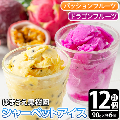 No.627 鹿児島県産！フルーツシャーベットアイス(計12個・90g×各6個) パッションフルーツ レッドドラゴンフルーツ 国産 鹿児島 日置市 デザート 果物 贈答 アイス 【はまうえ果樹園】 2625560 - 鹿児島県日置市