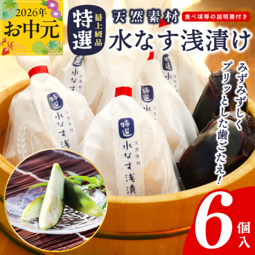 【お中元対応】 「特選最上級品」天然素材水なす浅漬け6個入 099H4579t 2625569 - 大阪府泉佐野市