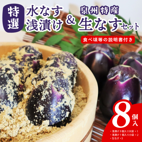 特選水なす浅漬け＆生なす 8個入り 099H4578 2625571 - 大阪府泉佐野市