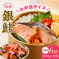 【定期便】銀鮭 切身 約50g×20切れ 全6回【お弁当サイズ 小分け 漁師 手切り 1kg さけ サケ 切り身 弁当 朝食 時短 訳あり サイズ不揃い 規格外 冷凍食品】 G4011