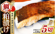 鯛の粕漬け 約120g×5切 地酒「早瀬浦」酒粕使用 【早瀬浦 日本酒 酒カス さけかす 酒粕漬け 粕漬け 鯛 タイ たい 発酵食品 腸活】   [m83-a002]