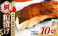 鯛の粕漬け 約120g×10切 地酒「早瀬浦」酒粕使用 【早瀬浦 日本酒 酒カス さけかす 酒粕漬け 粕漬け 鯛 タイ たい 発酵食品 腸活】  [m83-b002]