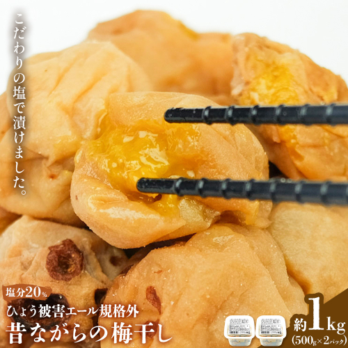 ひょう被害あり昔ながらの梅干し 塩のみで漬けたすっぱい梅干し 約1kg 500g 2パック 農業法人 株式会社紀州梅香《30日以内に出荷予定(土日祝除く)》 和歌山県 日高川町 梅 うめ フルーツ 果物 2625958 - 和歌山県日高川町