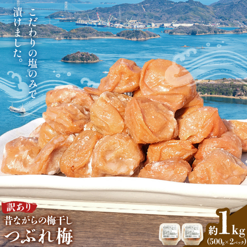 昔ながらの梅干し 訳あり つぶれ梅 約1kg 500g 2パック 農業法人 株式会社紀州梅香《30日以内に出荷予定(土日祝除く)》 和歌山県 日高川町 梅 うめ フルーツ 果物 2625959 - 和歌山県日高川町