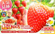 【2027年1月～5月発送予定】【いちご本来の甘酸っぱさを味わう】定番人気 紅ほっぺ 約900g（約300g×1パック×3箱）【配送不可地域：北海道・沖縄・離島】【121D-008-2027】