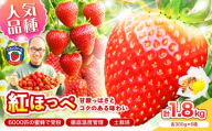 【2027年1月～5月発送予定】【いちご本来の甘酸っぱさを味わう】定番人気 紅ほっぺ 約1.8kg（約300g×1パック×6箱）【配送不可地域：北海道・沖縄・離島】【121C-007-2027】