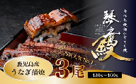国産 うなぎ 蒲焼き（鹿児島県産） 3尾 (430〜460g) 【国産100％ 鰻 ウナギ 蒲焼 土用丑の日 丑の日 冷凍 魚介 海鮮 おかず お祝い ご褒美 贅沢 おすすめ 人気 花立山養鰻 福岡県 筑前町 HY002】