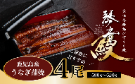 国産 うなぎ 蒲焼き（鹿児島県産） 4尾 (580〜620g) 【国産100％ 鰻 ウナギ 蒲焼 土用丑の日 丑の日 冷凍 魚介 海鮮 おかず お祝い ご褒美 贅沢 おすすめ 人気 花立山養鰻 福岡県 筑前町 HY003】