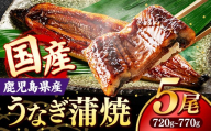 国産 うなぎ 蒲焼き（鹿児島県産） 5尾 (720〜770g) 【国産100％ 鰻 ウナギ 蒲焼 土用丑の日 丑の日 冷凍 魚介 海鮮 おかず お祝い ご褒美 贅沢 おすすめ 人気 花立山養鰻 福岡県 筑前町 HY004】