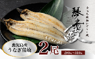 国産 うなぎ 白焼き（鹿児島県産） 2尾 (290〜310g) 【国産100％ 鰻 ウナギ 白焼 土用丑の日 丑の日 冷凍 魚介 海鮮 おかず お祝い ご褒美 贅沢 おすすめ 人気 花立山養鰻 福岡県 筑前町 HY005】
