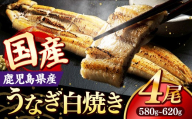 国産 うなぎ 白焼き（鹿児島県産） 4尾 (580〜620g) 【国産100％ 鰻 ウナギ 白焼 土用丑の日 丑の日 冷凍 魚介 海鮮 おかず お祝い ご褒美 贅沢 おすすめ 人気 花立山養鰻 福岡県 筑前町 HY007】