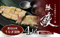 国産 うなぎ 白焼き（鹿児島県産） 4尾 (580〜620g) 【国産100％ 鰻 ウナギ 白焼 土用丑の日 丑の日 冷凍 魚介 海鮮 おかず お祝い ご褒美 贅沢 おすすめ 人気 花立山養鰻 福岡県 筑前町 HY007】