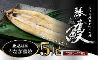 国産 うなぎ 白焼き（鹿児島県産） 5尾 (720〜770g) 【国産100％ 鰻 ウナギ 白焼 土用丑の日 丑の日 冷凍 魚介 海鮮 おかず お祝い ご褒美 贅沢 おすすめ 人気 花立山養鰻 福岡県 筑前町 HY008】
