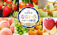 【定期便7回】 なないろフルーツ便B FSY-2731