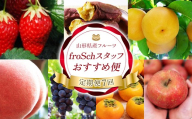 【定期便7回】 froSchスタッフ おすすめ便 FSY-2736