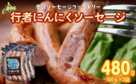 行者にんにく入りソーセージ 480g（160g×3） 【 ふるさと納税 人気 おすすめ ランキング 定期便 ソーセージ 行者ニンニク 国産豚肉 北海道 十勝 鹿追町 送料無料 】 SKD025