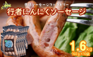 行者にんにく入りソーセージ 1.6kg（160g×10） 【 ふるさと納税 人気 おすすめ ランキング 定期便 ソーセージ 行者ニンニク 国産豚肉 北海道 十勝 鹿追町 送料無料 】 SKD027